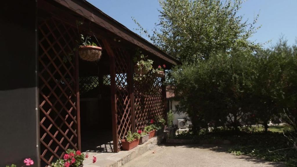 Къща За Гости Алла Byala  Buitenkant foto